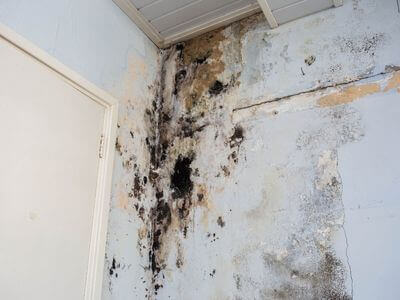 About OnPoint Disaster Solutions - water damage restoration experts in london